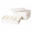 Cambro Pizza Dough Proofing Boxes and Lids