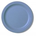 Blue Polycarbonate Dinnerware and Mugs