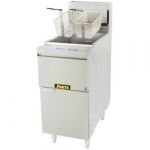 ANETS Commercial Fryers