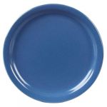 Blue Melamine Plates