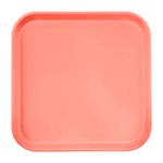 13 Inch x 13 Inch Square Metric Trays