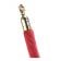 Aarco TR-8 Red 6' Stanchion Rope with Polished Brass Ends for Rope Style Crowd Control / Guidance Stanchion