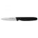Dexter Russell 31436 P40843 3" Basics Series Paring Knife with High-Carbon Steel Blade