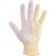 Dexter SSG1-L 82023 Sani-Safe Large-Size MicroGard Antimicrobial Stainless Steel Wire And Spectra Fiber Cut-Resistant Gloves