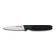 Dexter Russell 31437 3" Basics Series Serrated Paring Knife with High-Carbon Steel Blade
