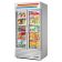 True Refrigeration GDM-35F-HC~TSL01 Freezer Merchandiser Two-section