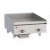 Wolf WEG24E Stainless Steel 24" Countertop Electric Griddle with Snap Action Thermostatic Controls - 208V, 1 Phase, 10.8 kW