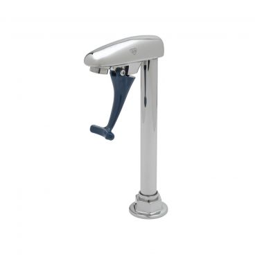 T&S Brass B-1220 - Pedestal Push Glass Filler Faucet