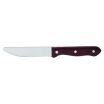 Arc Cardinal FJ605 Steak Knife 9-7/8