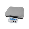 Escali SCDGPC13 R-Series Large Digital Portion Control Scale w/ Stainless Steel Platform - 13lb / 6kg Capacity