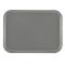 Cambro 3046107 Pearl Gray 11-13/16 Inch x 18-1/8 Inch (30 cm x 46 cm) Rectangular Fiberglass Metric Camtray