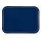 Cambro 3242123 Amazon Blue 12-1/2 Inch x 16-1/2 Inch (31.9 cm x 41.9 cm) Rectangular Fiberglass Metric Camtray