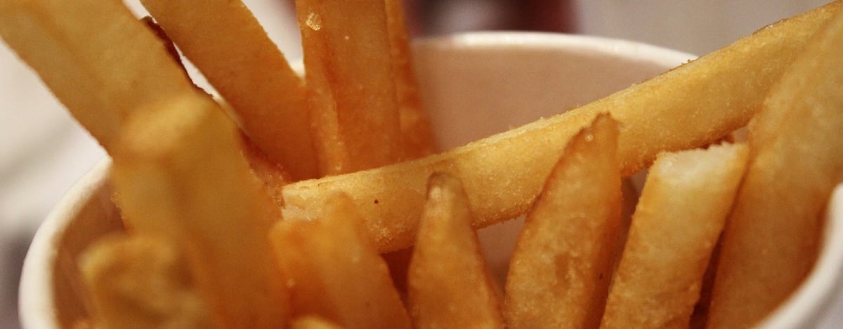 Commercial Fryer Buying Guide Banner - french fries